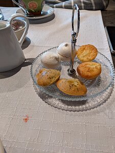 20220512_PXL115620072_Pixel3a-JEB